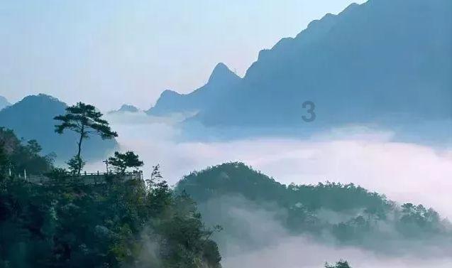大四女生因受处分自杀，学校给的处分是否合理，你如何看待？