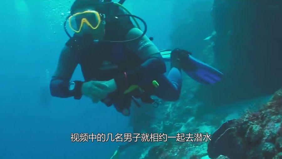 飞扬的独眼鸟