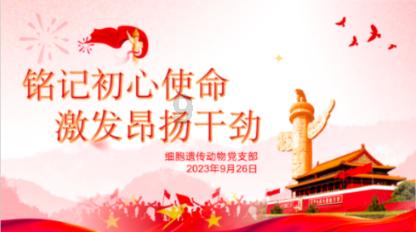 我的使命